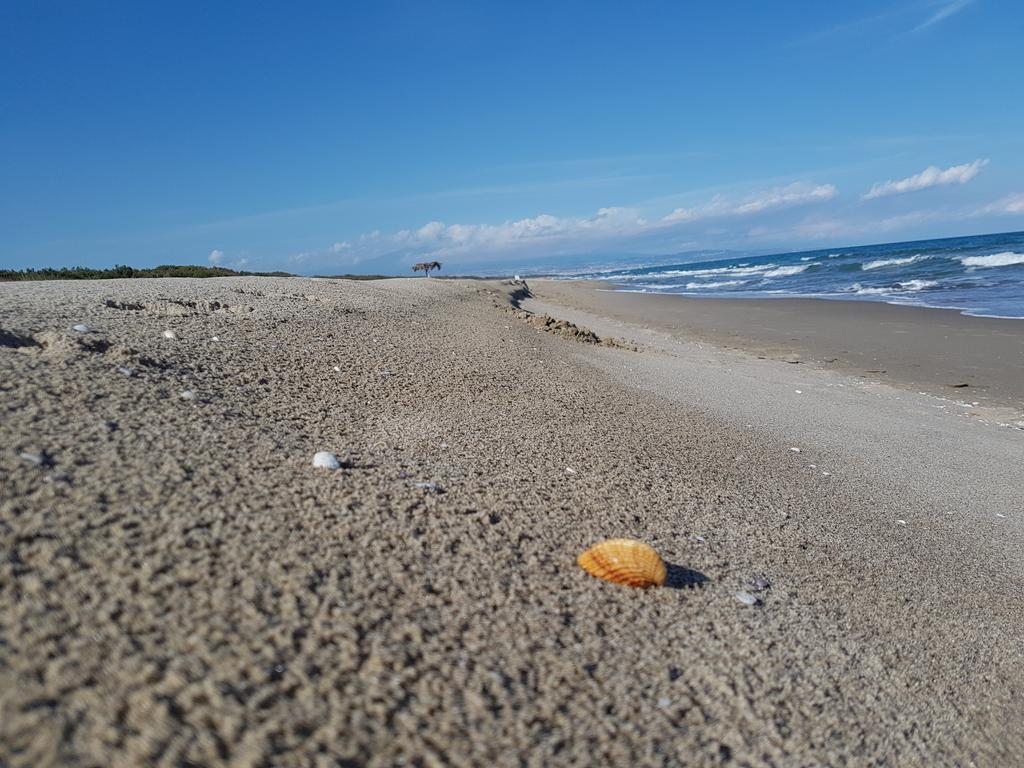 Villa Sulla Spiaggia Tra Catania E Siracusa Agnone Bagni Zewnętrze zdjęcie